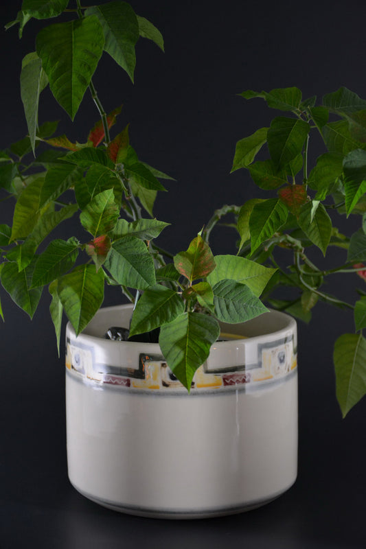 CP-02  Large Ceramic flower pot - Grand Cache-pot porcelaine